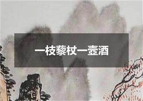 一枝藜杖一壼酒