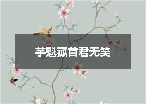 芋魁菰首君无笑