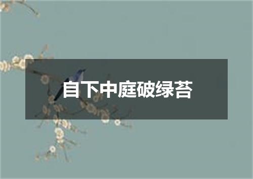 自下中庭破绿苔