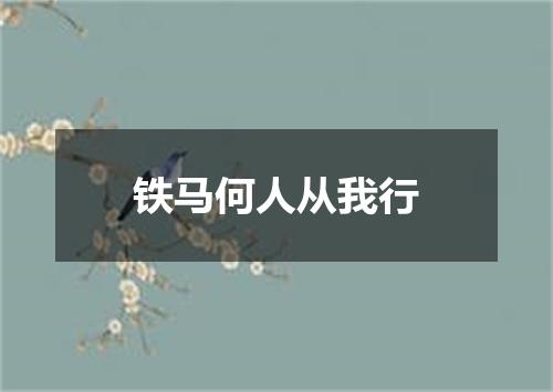 铁马何人从我行