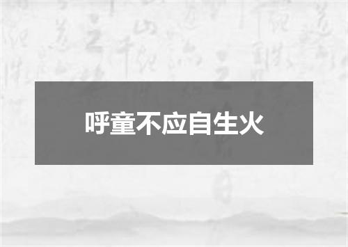 呼童不应自生火