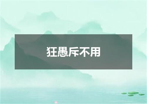狂愚斥不用