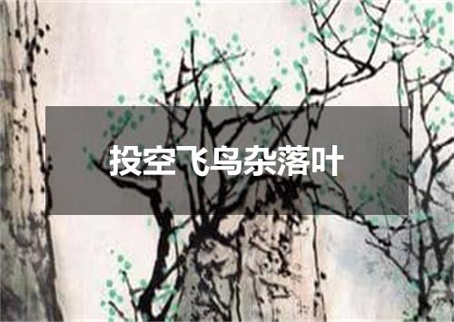 投空飞鸟杂落叶