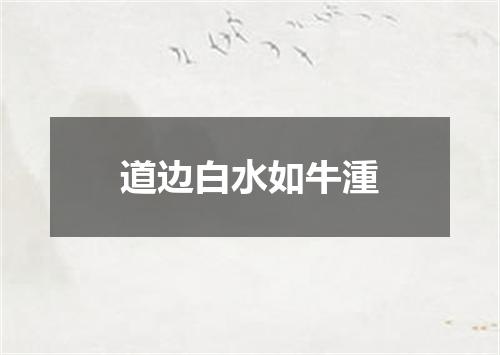 道边白水如牛湩