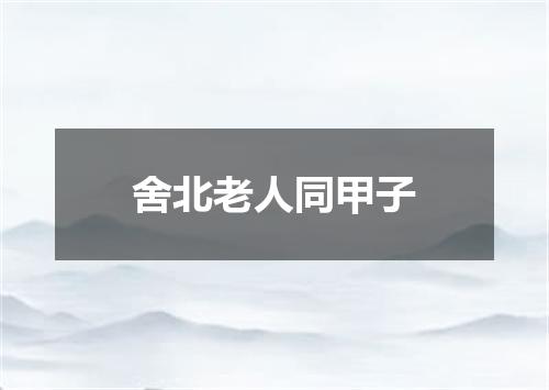 舍北老人同甲子