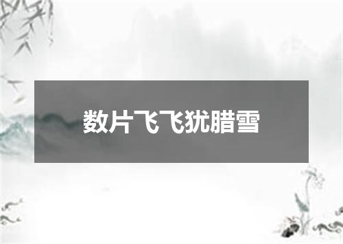 数片飞飞犹腊雪
