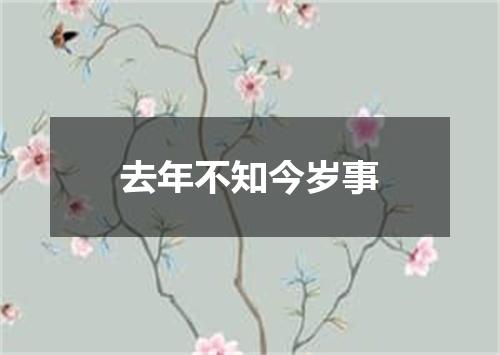 去年不知今岁事
