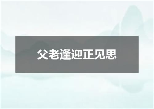 父老逢迎正见思