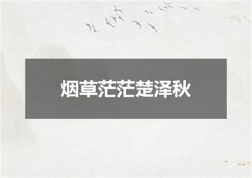 烟草茫茫楚泽秋