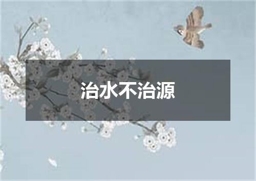 治水不治源
