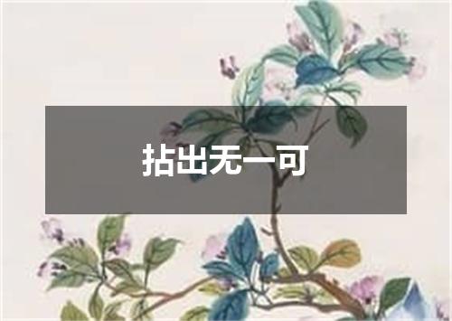 拈出无一可