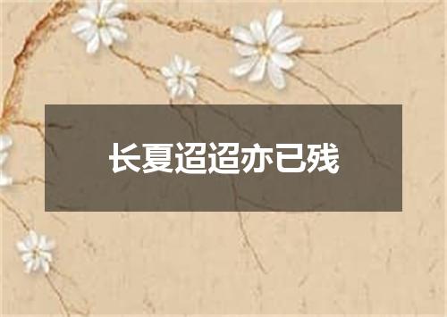 长夏迢迢亦已残