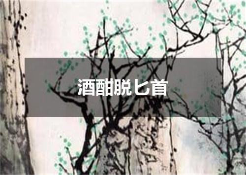 酒酣脱匕首