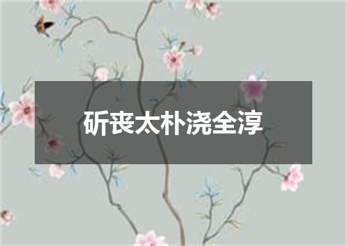 斫丧太朴浇全淳