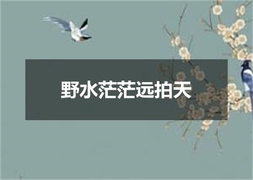 野水茫茫远拍天
