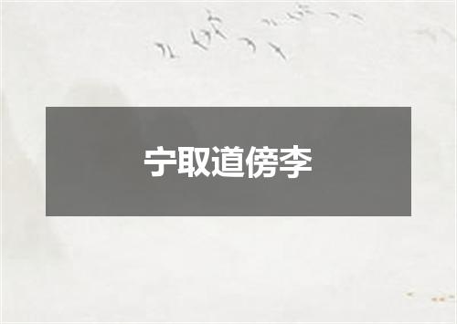 宁取道傍李
