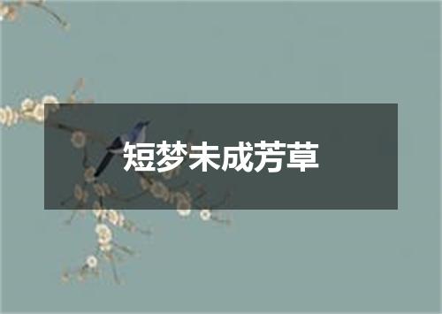 短梦未成芳草