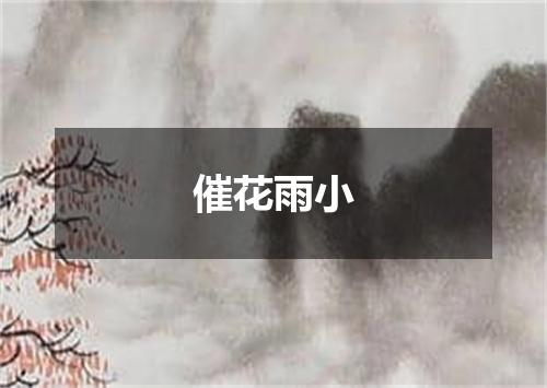 催花雨小