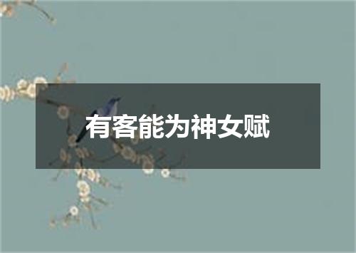有客能为神女赋
