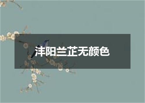 沣阳兰芷无颜色