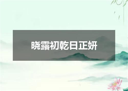 晓露初乾日正妍