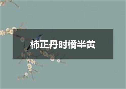 柿正丹时橘半黄