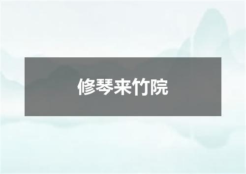 修琴来竹院