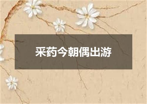 采药今朝偶出游