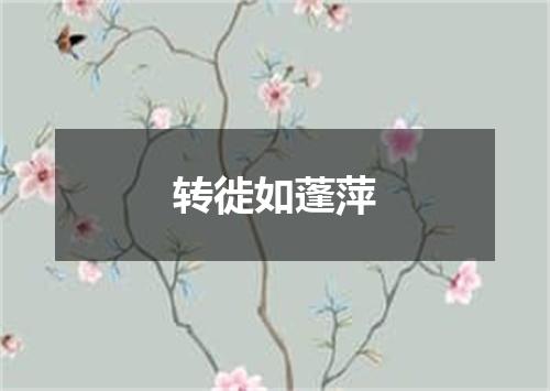 转徙如蓬萍