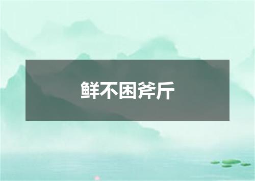 鲜不困斧斤