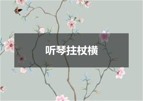 听琴拄杖横