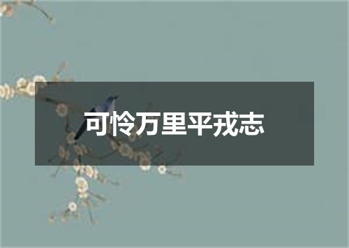 可怜万里平戎志