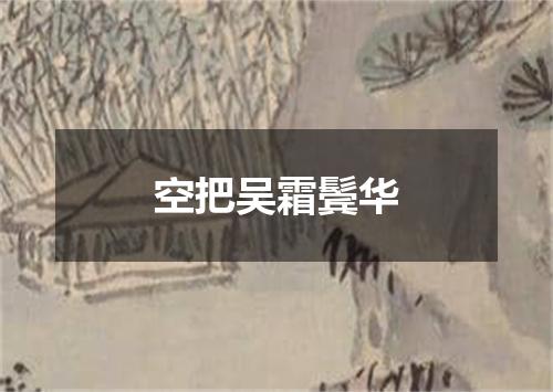 空把吴霜鬓华