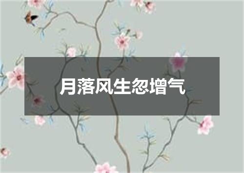 月落风生忽增气