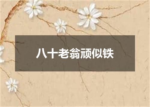 八十老翁顽似铁