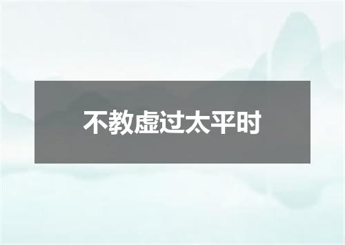 不教虚过太平时