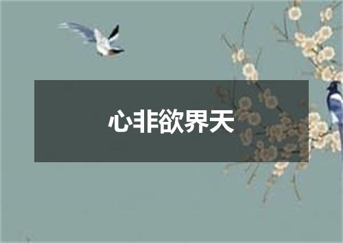 心非欲界天