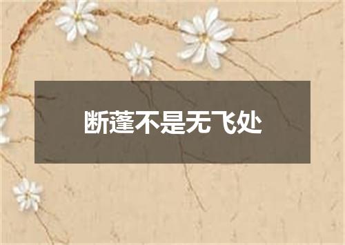断蓬不是无飞处