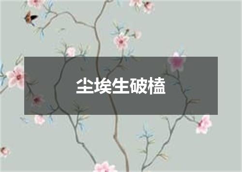 尘埃生破榼