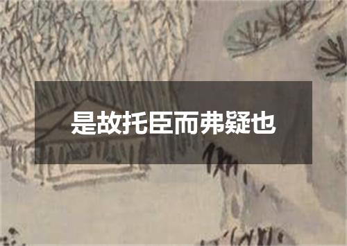 是故托臣而弗疑也