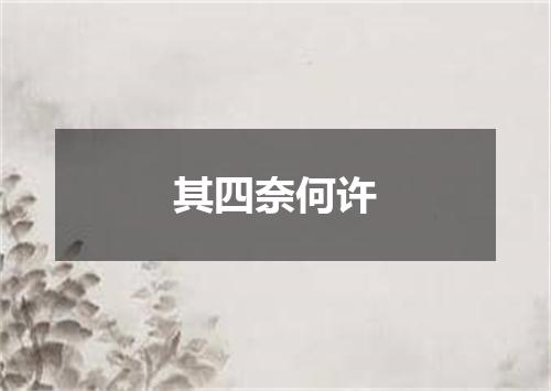 其四奈何许
