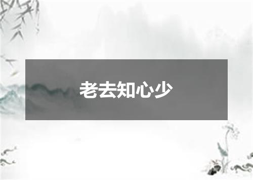 老去知心少