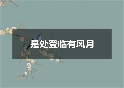 是处登临有风月