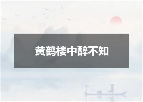 黄鹤楼中醉不知