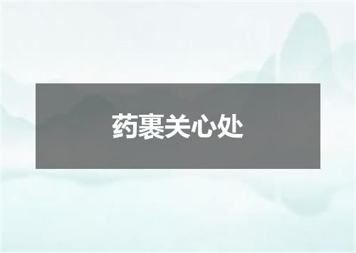 药裹关心处