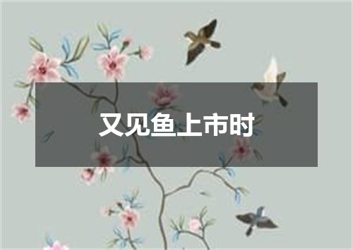 又见鱼上市时