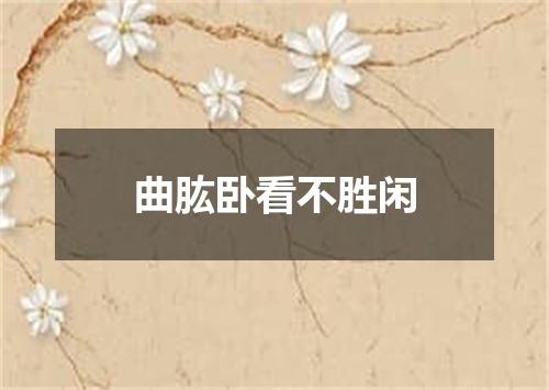 曲肱卧看不胜闲