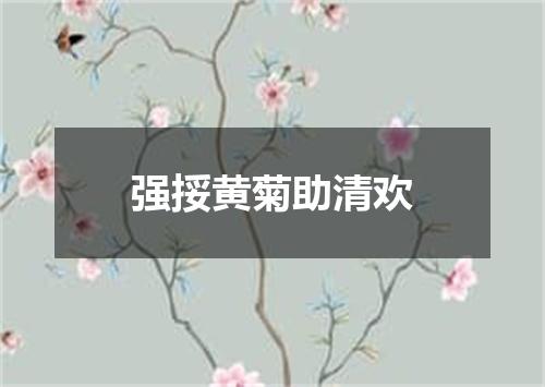 强挼黄菊助清欢