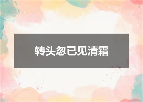 转头忽已见清霜