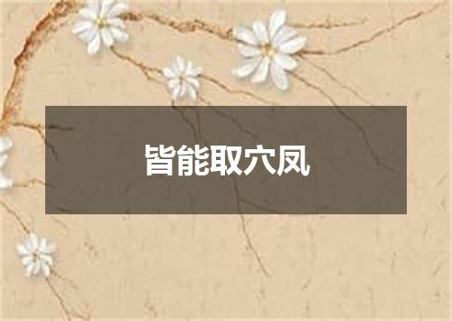 皆能取穴凤